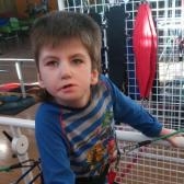 Klimkovice, Novotn� P., 2017